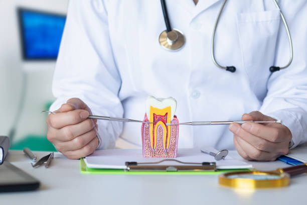 Best Emergency Dentist for Knocked-Out Tooth in Bay City, MI